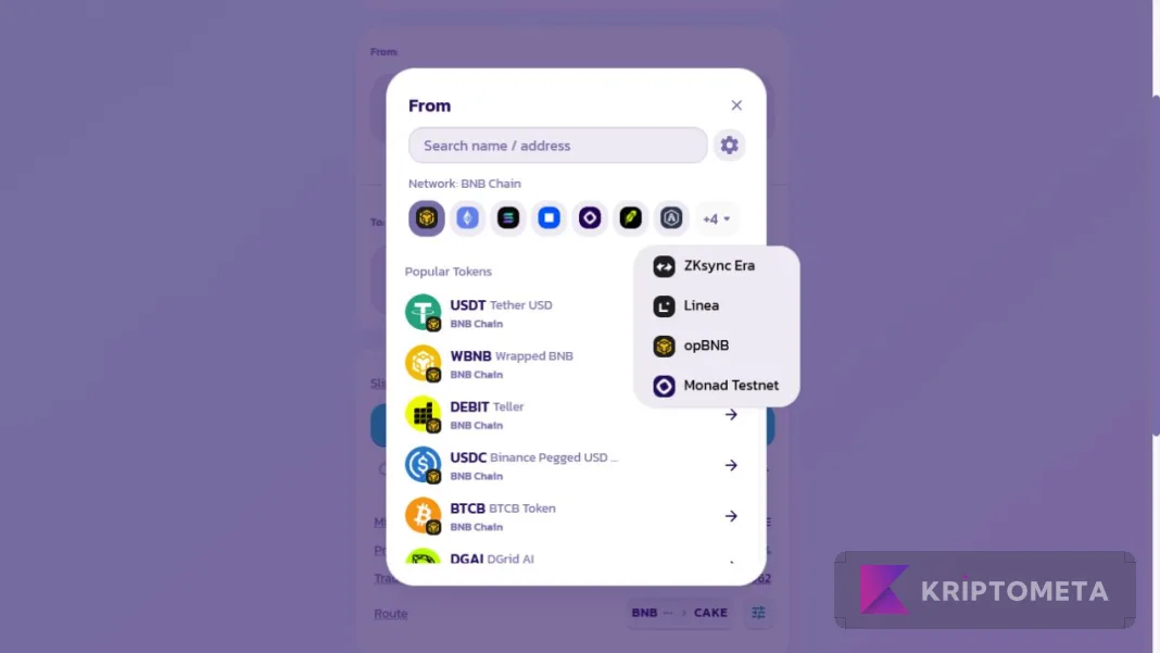PancakeSwap gerçek From seçicisinde ağ simgeleri, token araması ve BNB Chain token listesi