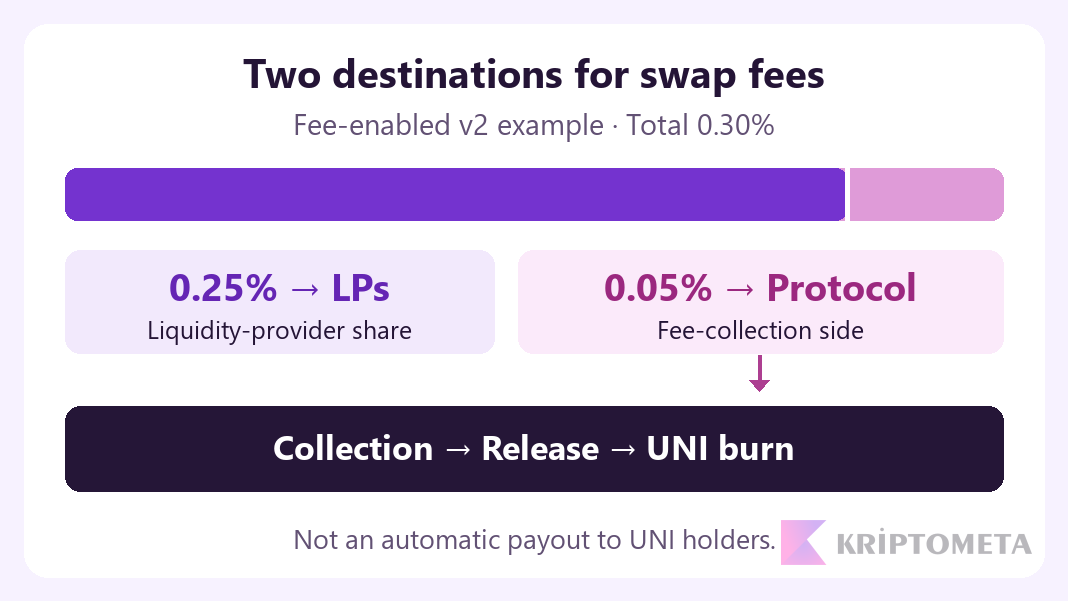 Fee-enabled v2 illustration: 0.30% total split into 0.25% for LPs and 0.05% for the protocol